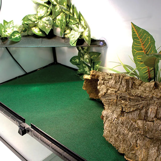 Komodo Reptile Carpet 60X50cm