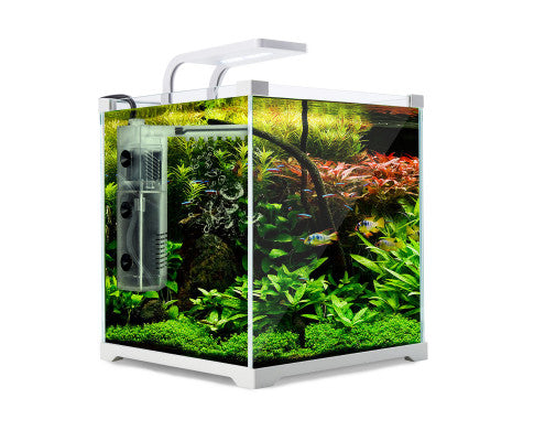 Dynamic Power Aquarium Fish Tank 16L