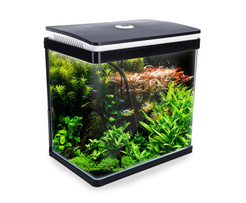 Dynamic Power Aquarium Fish Tank 30L