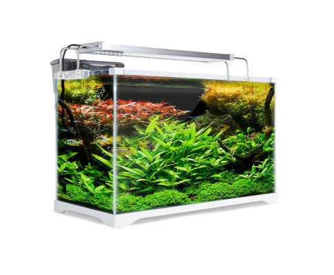 Dynamic Power Aquarium Fish Tank 39L