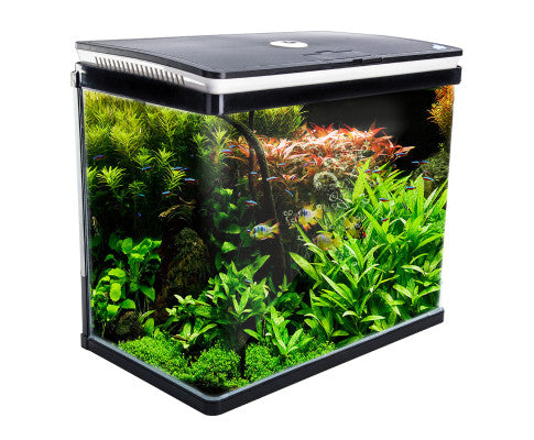 Dynamic Power Aquarium Fish Tank 52L