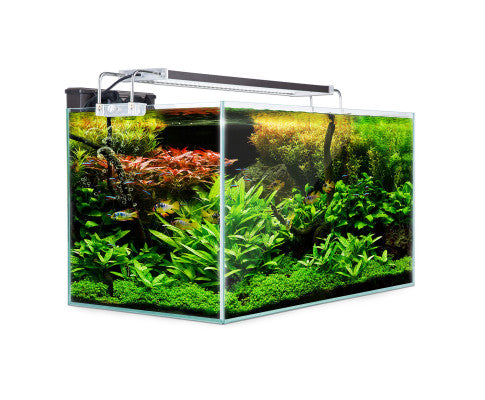 Dynamic Power Aquarium Fish Tank 70L Starfire Glass