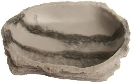 Reptile Dish Medium