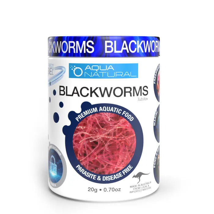 Freeze dried blackworms 20G