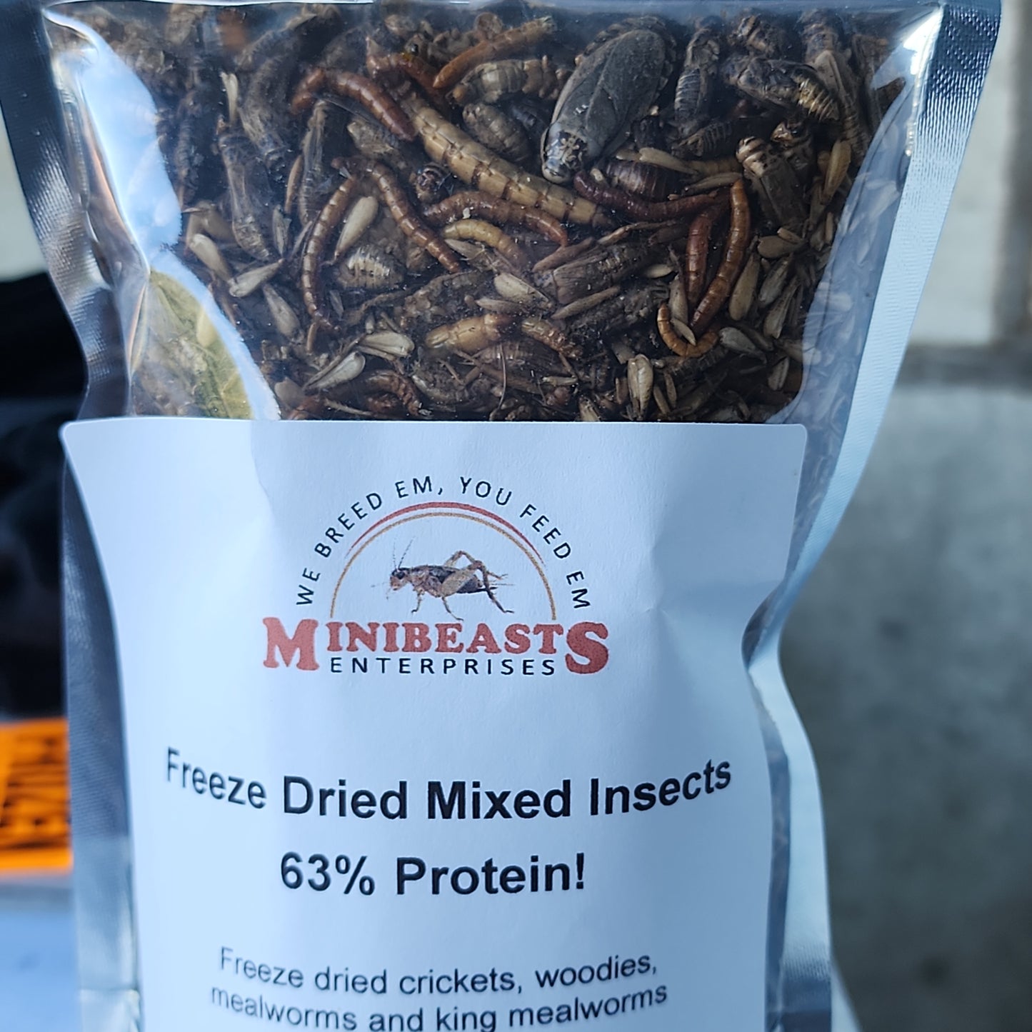 Minibeasts Freeze Dried Mixed Insects