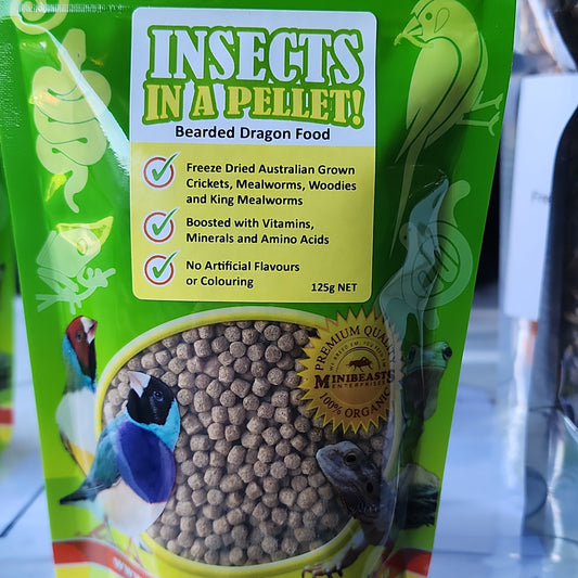 Minibeasts Insects in a Pellet Bearded Dragon Food