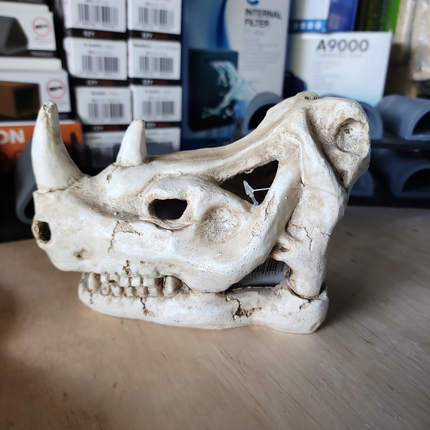 Decorative rhino skull