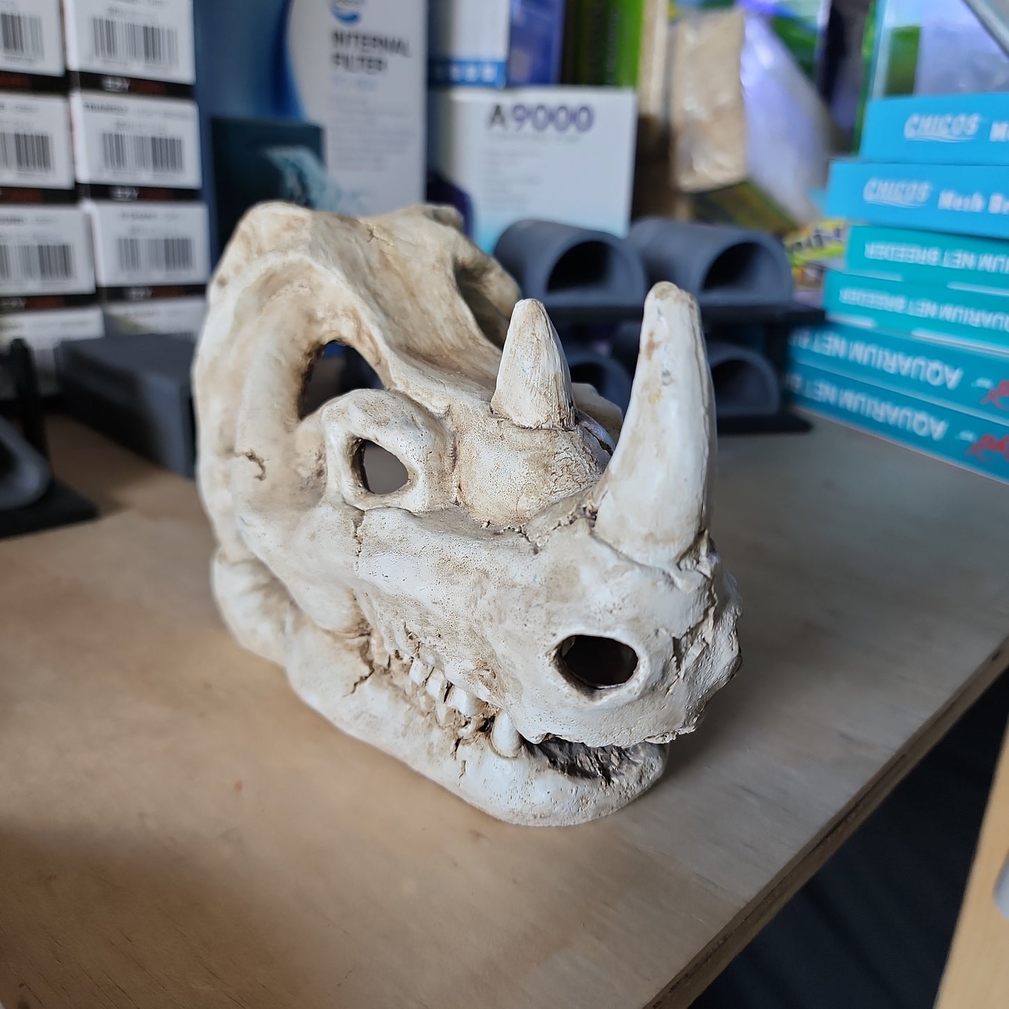 Decorative rhino skull