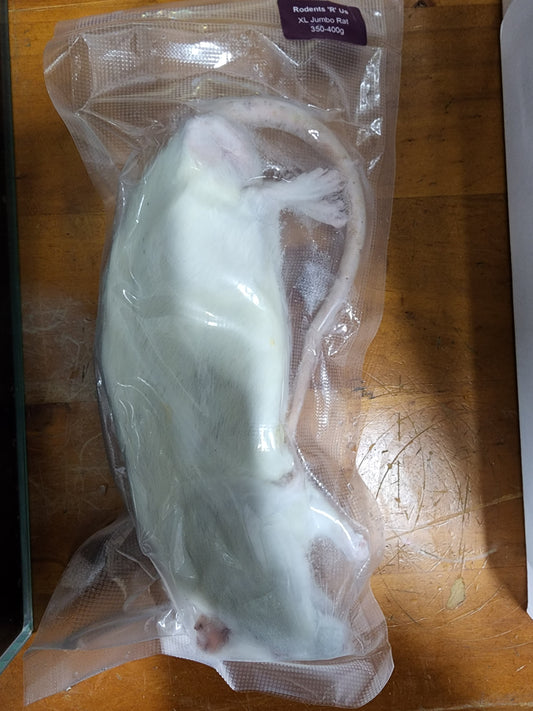 Frozen XL Jumbo Rat Single Pack (no online purchase)