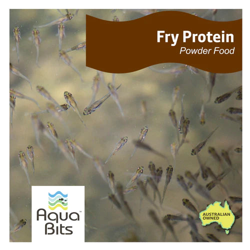 Fry Protein Powder Food 35g