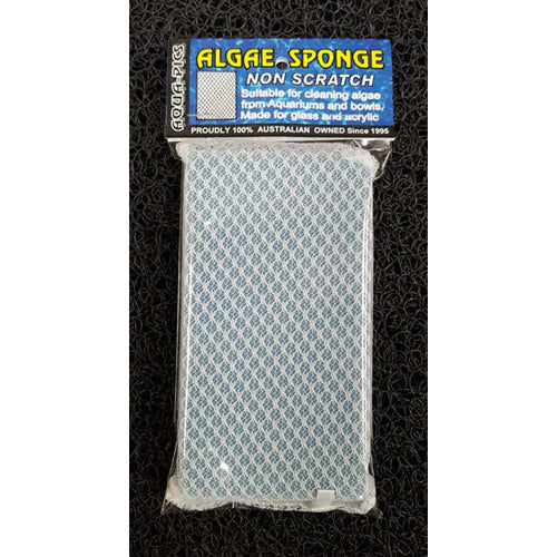 Non-Scratch Algae Sponge