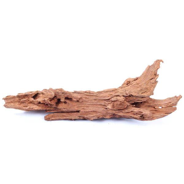 Malaysian Driftwood - Medium