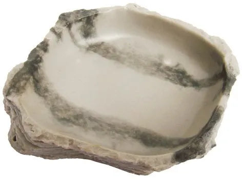 Reptile Dish 12x11x2.5cm