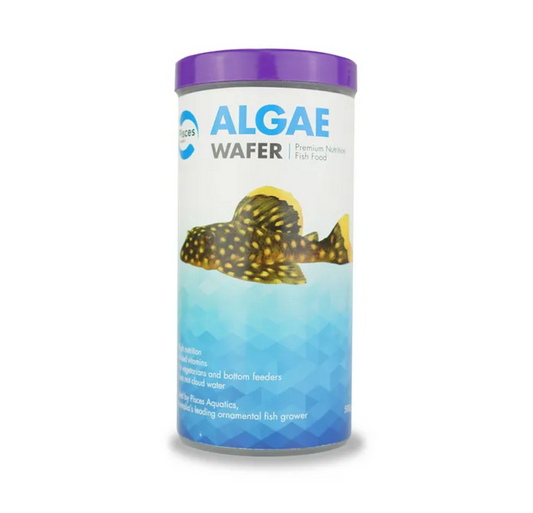 Pisces Algae Wafer Food 500G
